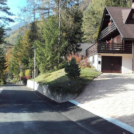 Holiday Home Gobela Краньска Гора Экстерьер фото