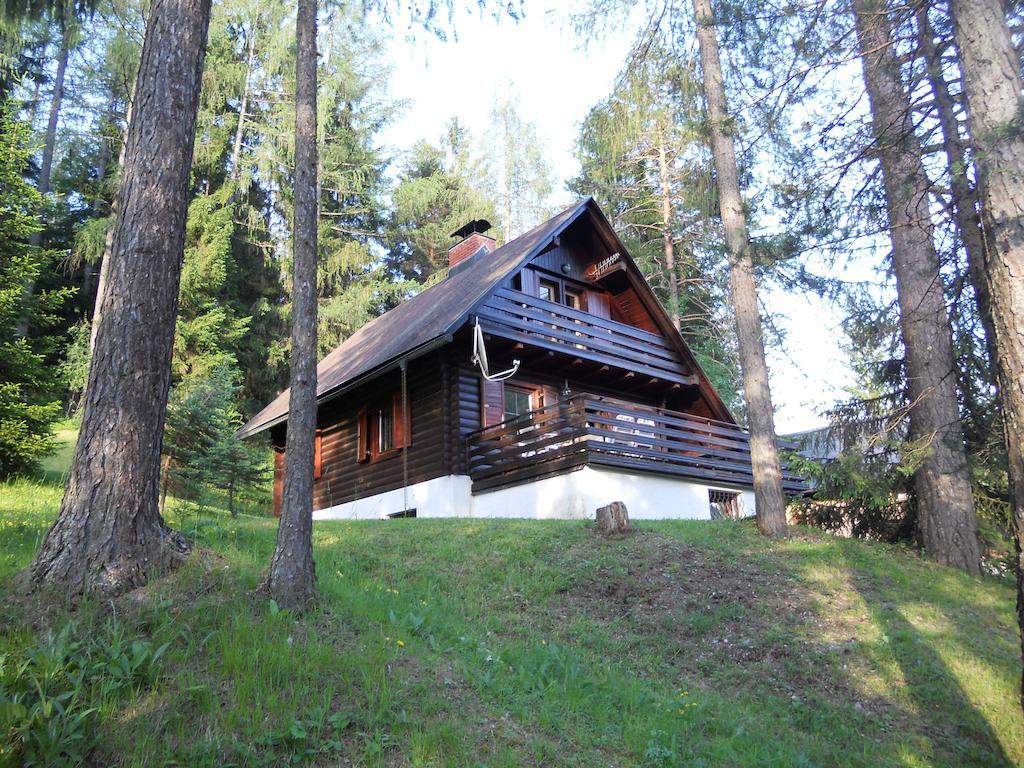 Holiday Home Gobela Краньска Гора Номер фото